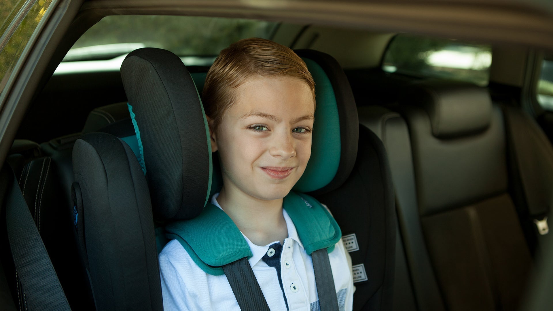 Correct Harness Height Infa Group NZ